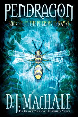 Cover of the book The Pilgrims of Rayne by Stacia Deutsch, Rhody Cohon