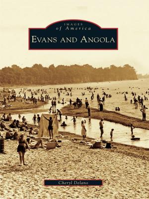 Cover of the book Evans and Angola by W.C. Madden, John E. Peterson