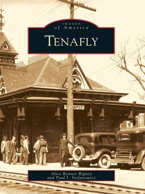 Cover of the book Tenafly by Mark D. Hanson