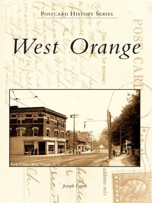 Cover of the book West Orange by Tracy J. Prince, Zadie Schaffer