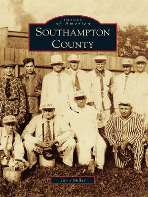 Cover of the book Southampton County by Tony Kent