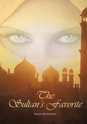 Cover of the book The Sultan's Favorite by Patrick Lavin