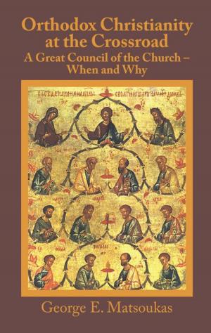 Cover of the book Orthodox Christianity at the Crossroad: a Great Council of the Church – When and Why by Jeanne S. Silvers