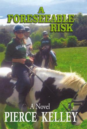 Cover of the book A Foreseeable Risk by Matthew J. Goldberg