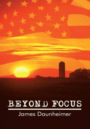Cover of the book Beyond Focus by Wolfgang Niesielski