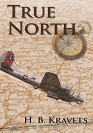 Cover of the book True North by Priscilla Andrea Sobremonte
