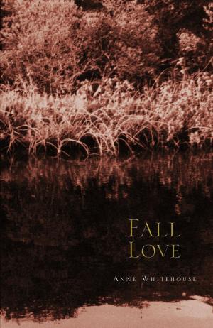 Cover of the book FALL LOVE by Nancy E. Shaffer