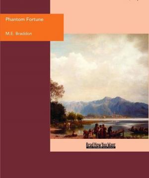 Cover of the book Phantom Fortune by Michele Wetteland and John Rose