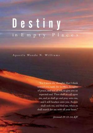 Cover of the book Destiny in Empty Places by Lily Lascoña