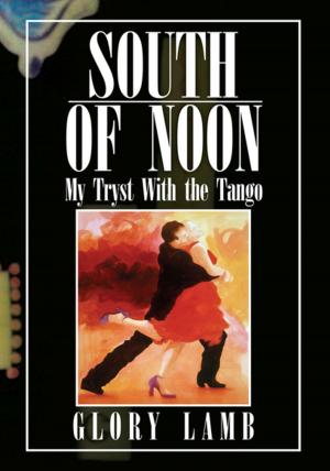 Cover of the book South of Noon by Robert F. Ober Jr