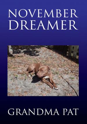 Cover of the book November Dreamer by M. Shokouhi N.
