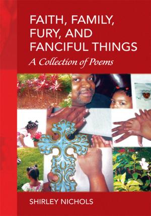Cover of the book Faith, Family, Fury, and Fanciful Things by Andrew Dequasie