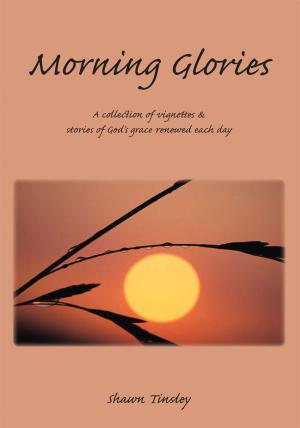 Cover of the book Morning Glories by James Prince