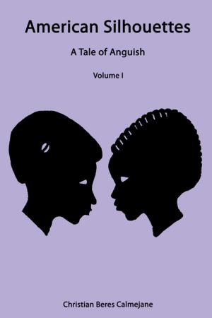 bigCover of the book American Silhouettes by 