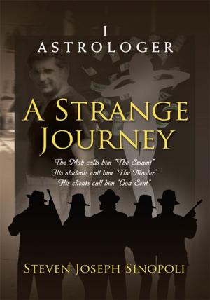 Cover of the book A Strange Journey by Sue Bagust