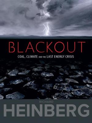 Cover of the book Blackout by John Michael Greer