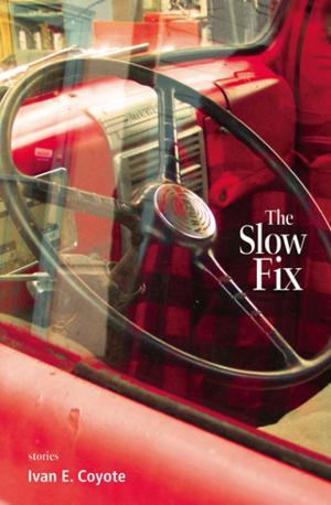 Cover of the book The Slow Fix by Vivek Shraya
