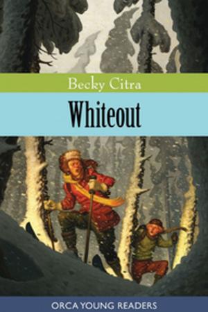 Cover of the book Whiteout by Alison Hughes