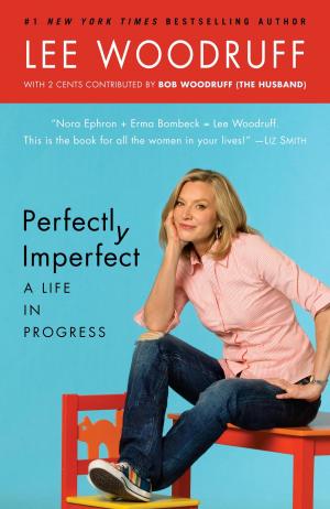 Cover of the book Perfectly Imperfect by Wilma Luimes