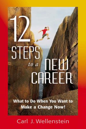 Cover of the book 12 Steps to a New Career by DuQuette, Lon Milo