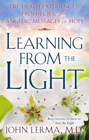 Cover of the book Learning From the Light by Stephanie Bender, Treacy Colbert