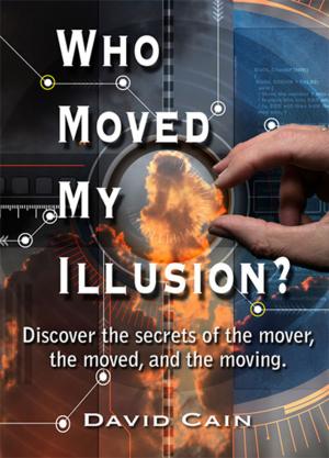 Book cover of Who Moved My Illusion?