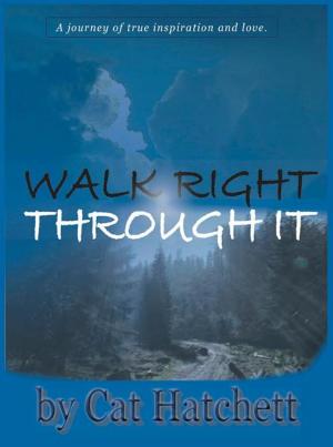 Cover of the book Walk Right Through It by Dmitriy Salita, Michael Salita, Bill Caplan