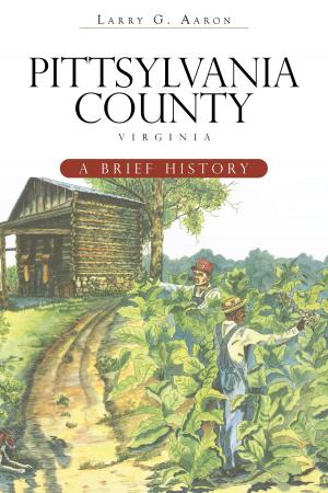 Cover of the book Pittsylvania County, Virginia by R. Chad Stewart