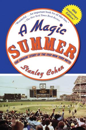 Book cover of A Magic Summer