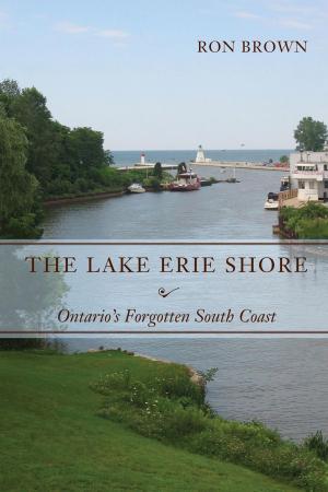 Cover of the book The Lake Erie Shore by Gordon T. Stewart