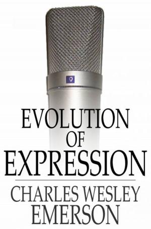 Cover of the book Evolution of Expression by J. K. Huysmans