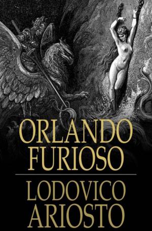 Book cover of Orlando Furioso