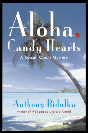 Cover of the book Aloha, Candy Hearts by Liz Bugg