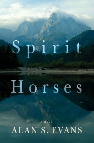 Cover of the book Spirit Horses by TJ Turner