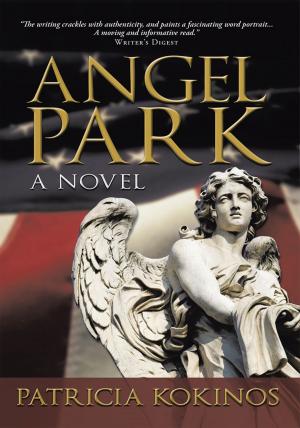 Cover of the book Angel Park by S. P. Perone