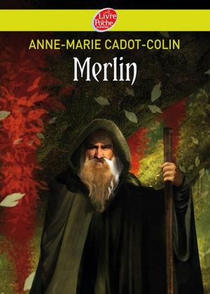 Cover of the book Merlin by Jim Razzi, Jean-François Martin