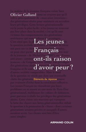 Cover of the book Les jeunes Français ont-ils raison d'avoir peur ? by Jean-Louis Leutrat