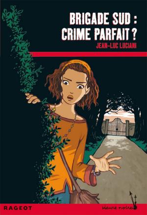 Cover of Brigade Sud : Crime parfait ?