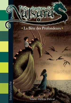 Cover of the book Les dragons de Nalsara, Tome 5 by R.L Stine