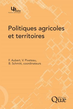 Cover of the book Politiques agricoles et territoires by Daniel Courtot, Philippe Jaussaud