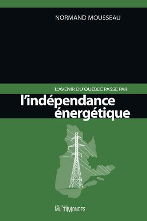 Book cover of L'avenir du Québec passe par l'indépendance énergétique