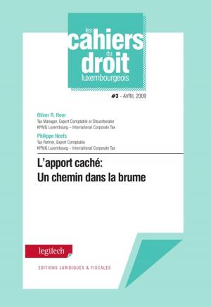 Cover of L'apport caché: Un chemin dans la brume