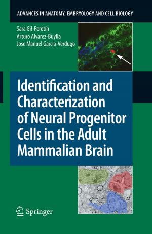 Cover of the book Identification and Characterization of Neural Progenitor Cells in the Adult Mammalian Brain by Anne-Marie Décaillot