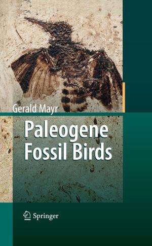 Cover of the book Paleogene Fossil Birds by Bernhard Kleine, Winfried Rossmanith