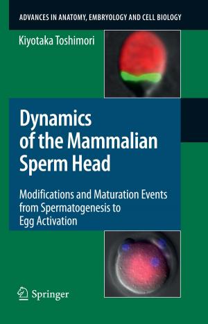 Cover of the book Dynamics of the Mammalian Sperm Head by R. Ackerman, D. Bachmann, A. Baert, H. Behrendt, D. Beyer, W. Bischoff, E. Boijsen, H.C. Dominick, V. Fiedler, W.A. Fuchs, M. Georgi, U. Goerttler, M. Goldberg, R. Günther, W. Havers, R. Heckmann, H. Holfeld, L. Jeanmart, J.V. Kaude, L.D. Leder, E. Löhr, M. Marberger, G. Marchal, P. Mellin, A. Moss, O. Olsson, M. Osteaux, H.J. Richter, E. Scherer, C. Stambolis, M.W. Strötges, B. Swart, Guido Wilms