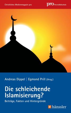 Cover of the book Die schleichende Islamisierung? by Reggie Anderson