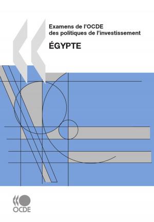 Cover of the book Examens de l'OCDE des politiques de l'investissement : Égypte 2007 by Collective