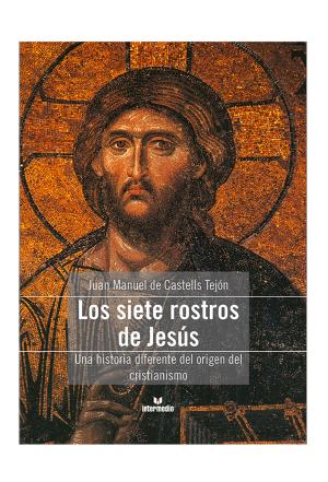 Cover of the book Los siete rostros de Jesús by Julián Vallejo