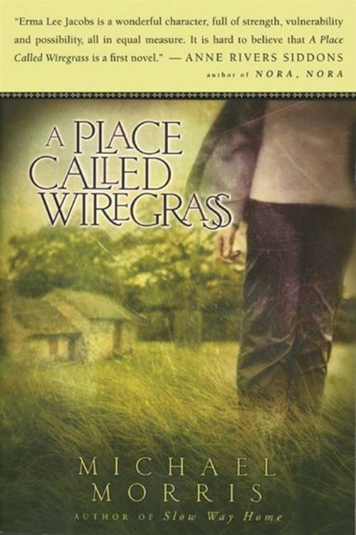 Cover of the book A Place Called Wiregrass by Michael Morris, HarperOne