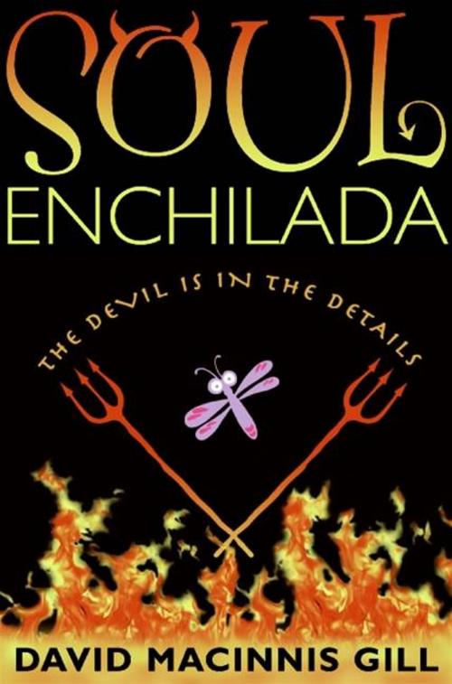 Cover of the book Soul Enchilada by David Macinnis Gill, Greenwillow Books